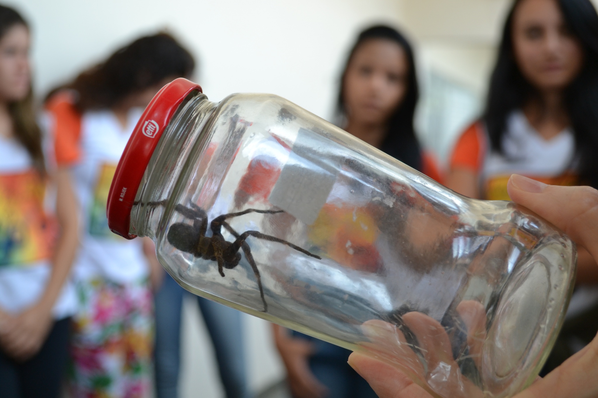 No período de férias, estudantes da rede pública participaram de diversas atividades de pesquisa na Unicamp/Foto: Camila Delmondes - ARP - FCM/Unicamp