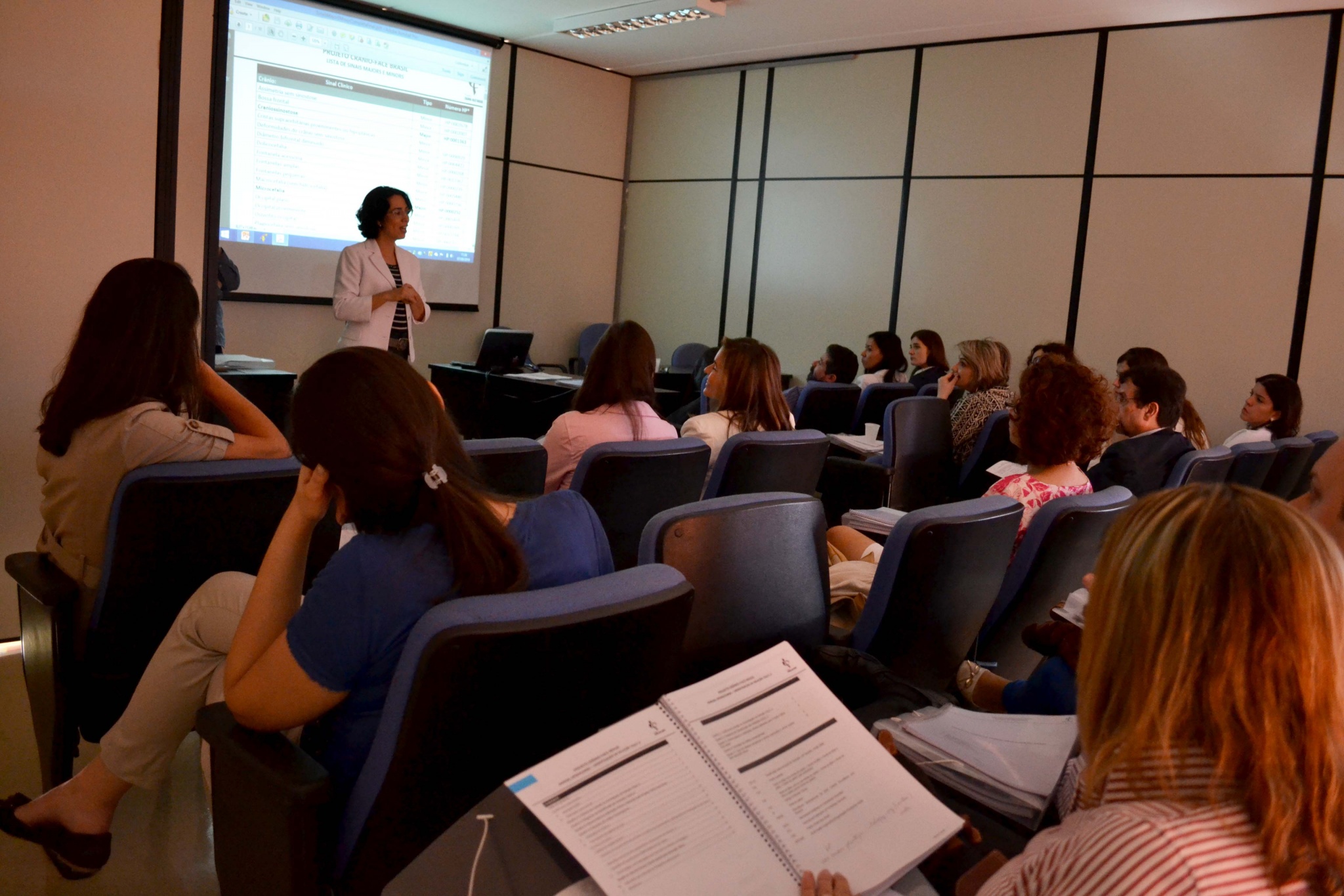 A coordenadora do projeto Crânio-Face Brasil, Vera Lúcia Gil da Silva Lopes, fala sobre o sistema de codificação diagnóstica, comparável a outros países