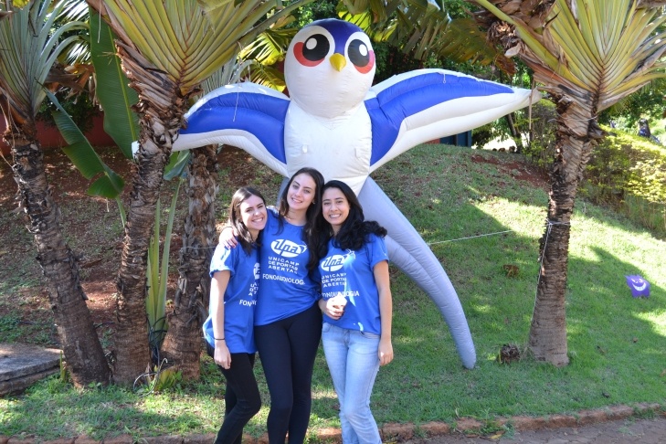 UPA 2016. Fotos: Mercedes Santos, Francileuda Ferreira, Bruno de Jorge e Edimlson Montalti