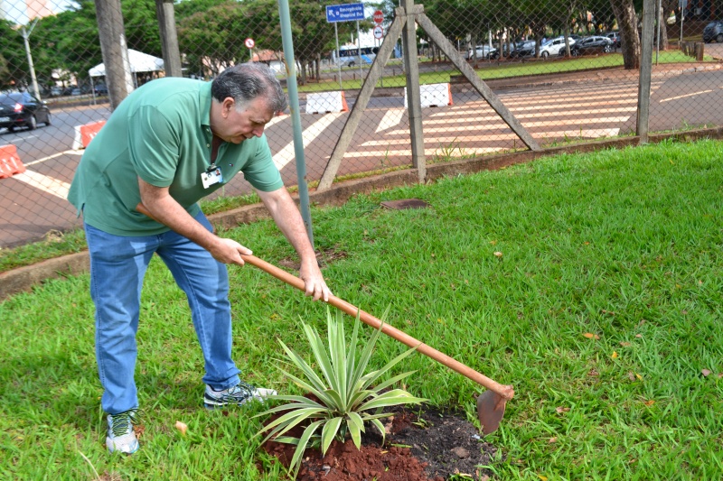 Funcionários participam de plantio na FCM, pelo Projeto Gaia/Fotos: Mario Moreira, Silvana De Checchi, Wilson Júnior