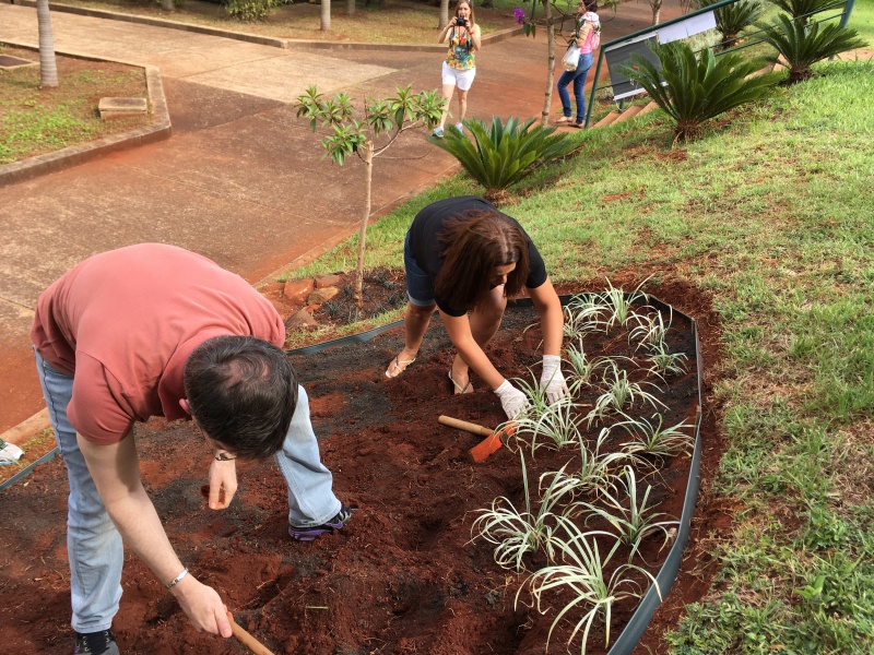 Funcionários participam de plantio na FCM, pelo Projeto Gaia/Fotos: Mario Moreira, Silvana De Checchi, Wilson Júnior