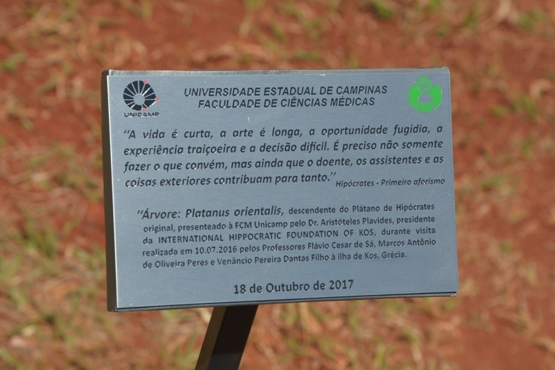 Placa com o aforismo hipocrático ao lado da árvore doada à FCM. Foto: Mario Moreira - FCM/Unicamp