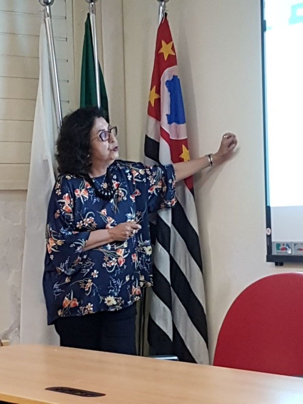 Diretora na Fiocruz, Maria Fernanda Lima-Costa ministra aula inaugural da Pós em Gerontologia/Foto: Divulgação