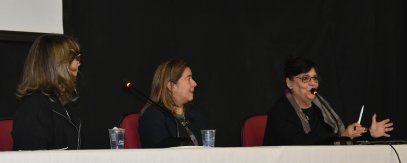 Eliane Z. de Lima (CEREST de Campinas), Lady Catherine C. Cantor (Universidad  Nacional de Colombia ), Léslie P. Ferreira (SBFa)