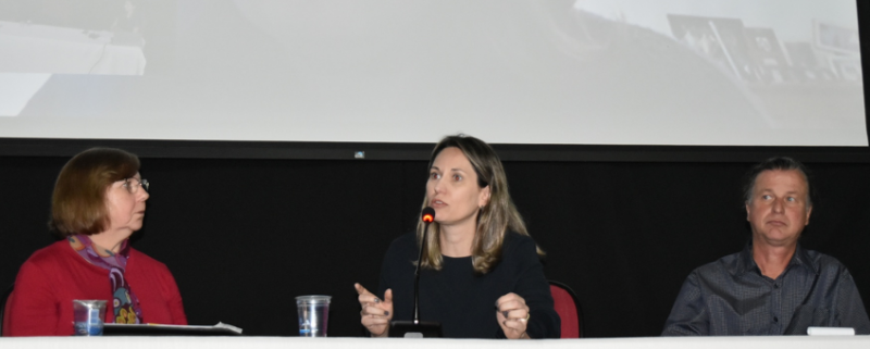 Verena E. Winkel Parreira (CEREST de Rio Claro), Fabiana C. Zambon (Sinpro-SP), Paulo José Nobre (Sinpro de Campinas e região